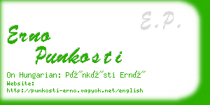 erno punkosti business card